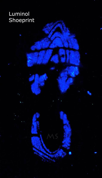 Luminol Shoe Print